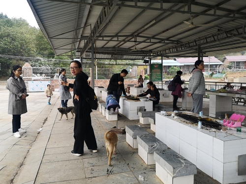 IMG_20201101_124143 IMG_20201101_124143