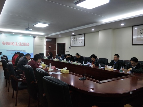 专题民主生活会 专题民主生活会