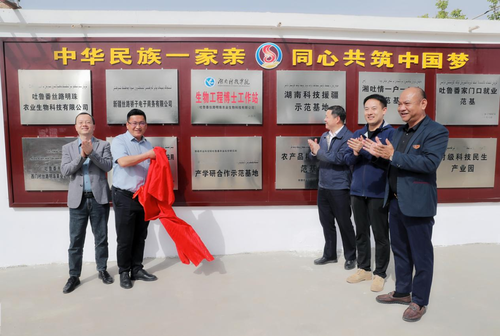 博士工作站1 博士工作站1