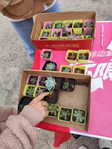 Cache_69a6e60e1de15c9._proc Cache_69a6e60e1de15c9._proc