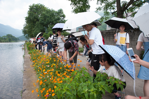 plant20180519607 plant20180519607