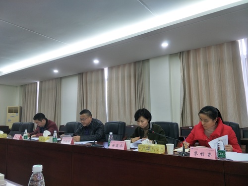 专题民主生活会2 专题民主生活会2