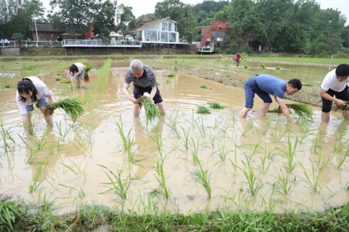 拼搏在线(中国)唯一官方网站积极推动大中小学“五育并举”一体化