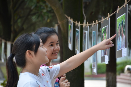 同学们认真观看照片的场景1 同学们认真观看照片的场景1