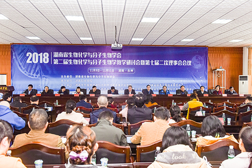 48043_500x500 48043_500x500