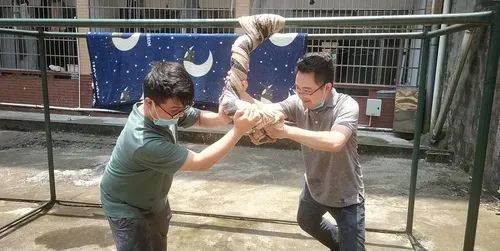 微信图片_20210913200843 微信图片_20210913200843