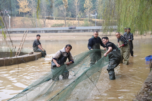 76187_500x500 76187_500x500