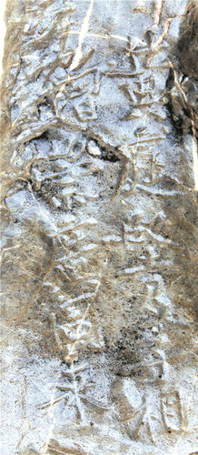 1626391772128028.jpg 1598243_chenchao_1626353119810.jpg