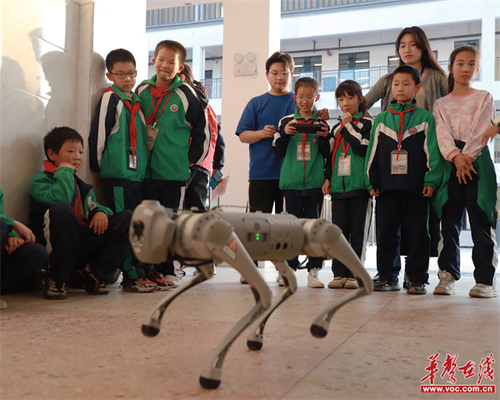 132166_500x500 132166_500x500