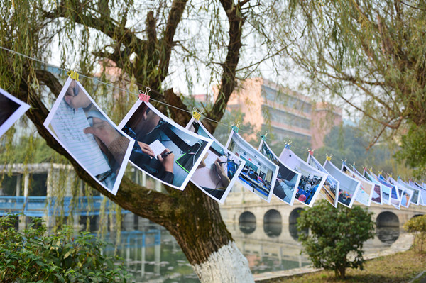 DSC_6840_副本 DSC_6840_副本